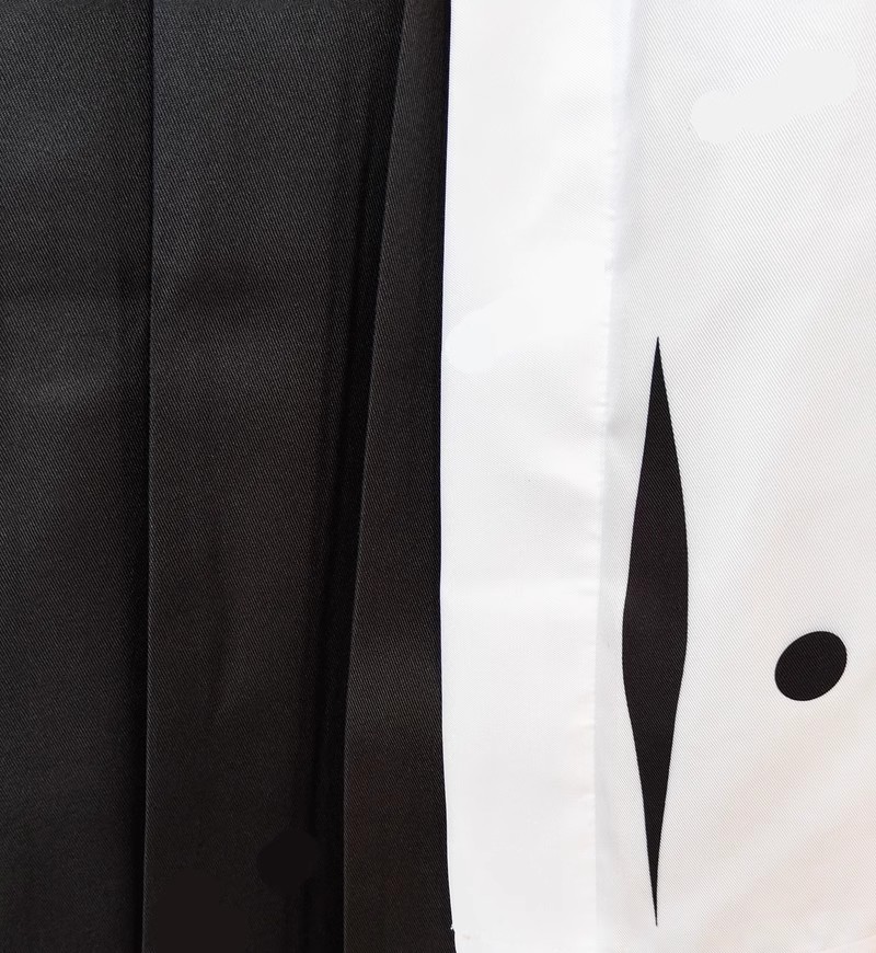 Toshiro Hitsugaya Cosplay Cost - Bleach Captain Coat ulasan dan harga